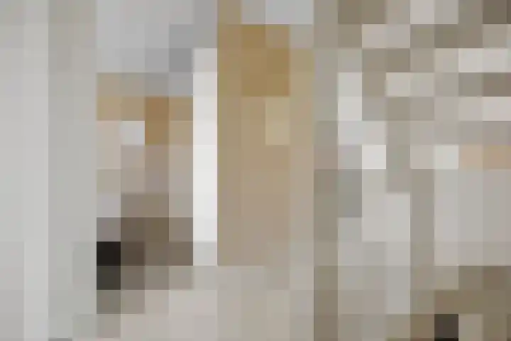 Katerskamp 55 Voorthuizen thumbnail 16
