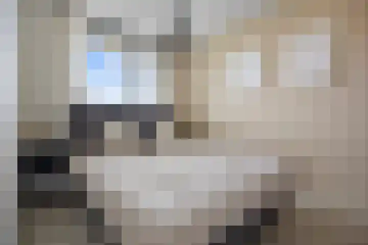 Katerskamp 55 Voorthuizen thumbnail 17