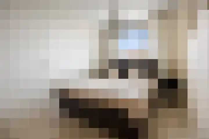Katerskamp 55 Voorthuizen thumbnail 18