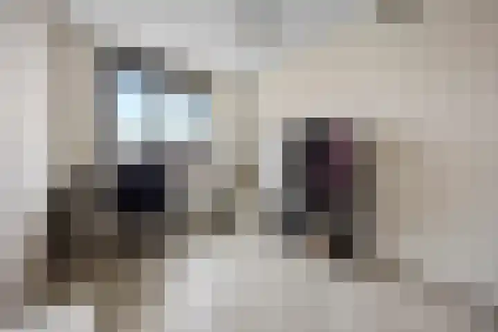 Katerskamp 55 Voorthuizen thumbnail 20