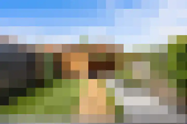 Katerskamp 55 Voorthuizen thumbnail 28