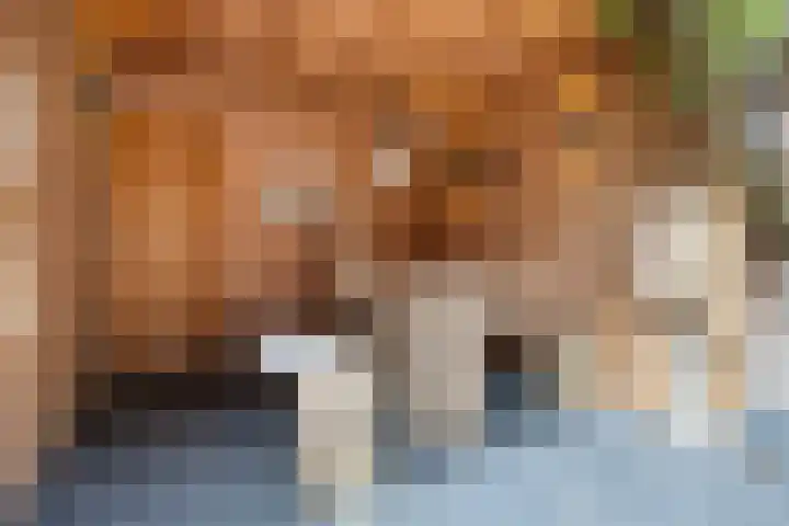 Katerskamp 55 Voorthuizen thumbnail 29