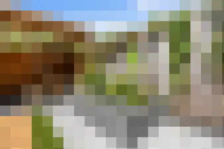 Katerskamp 55 Voorthuizen thumbnail 30
