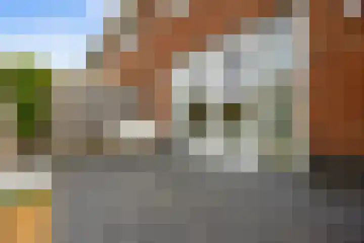 Katerskamp 55 Voorthuizen thumbnail 31