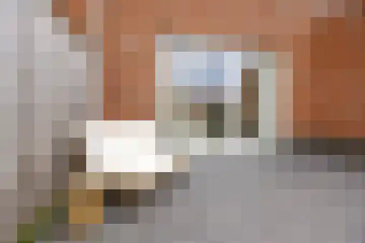 Katerskamp 55 Voorthuizen thumbnail 32