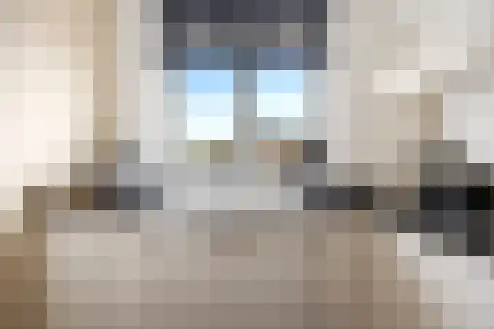 Katerskamp 55 Voorthuizen thumbnail 7