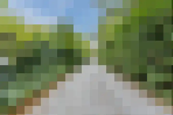 Katerstraat 8 Vessem thumbnail 10