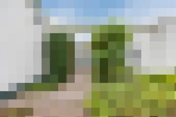 Katerstraat 8 Vessem thumbnail 13