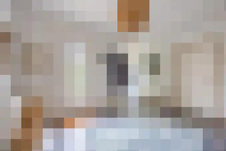 Katerstraat 8 Vessem thumbnail 15