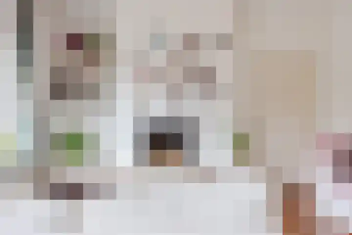 Katerstraat 8 Vessem thumbnail 27