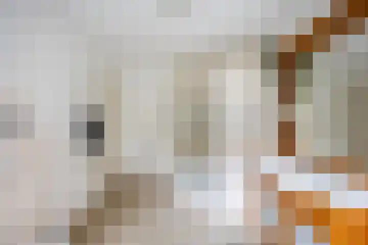 Katerstraat 8 Vessem thumbnail 32