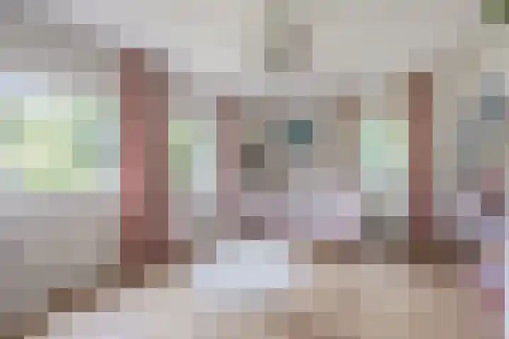 Katerstraat 8 Vessem thumbnail 33