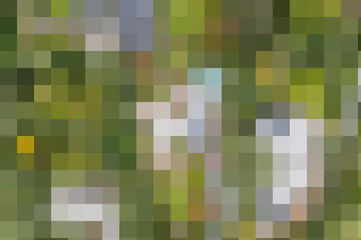 Katerstraat 8 Vessem thumbnail 43