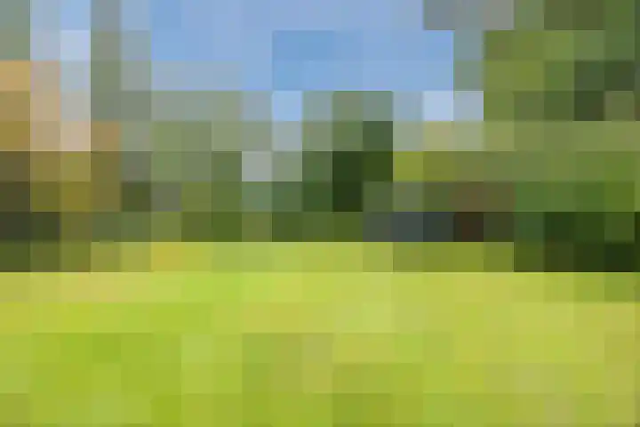 Katerstraat 8 Vessem thumbnail 47