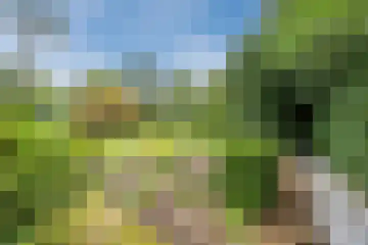 Katerstraat 8 Vessem thumbnail 48