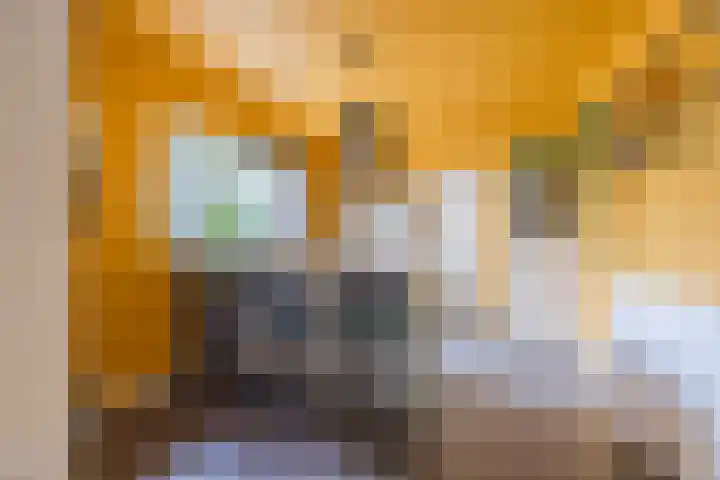 Katerstraat 8 Vessem thumbnail 6