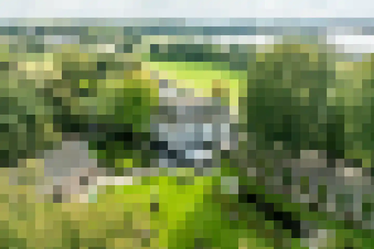 Katerveerdijk 3 Zwolle thumbnail 47