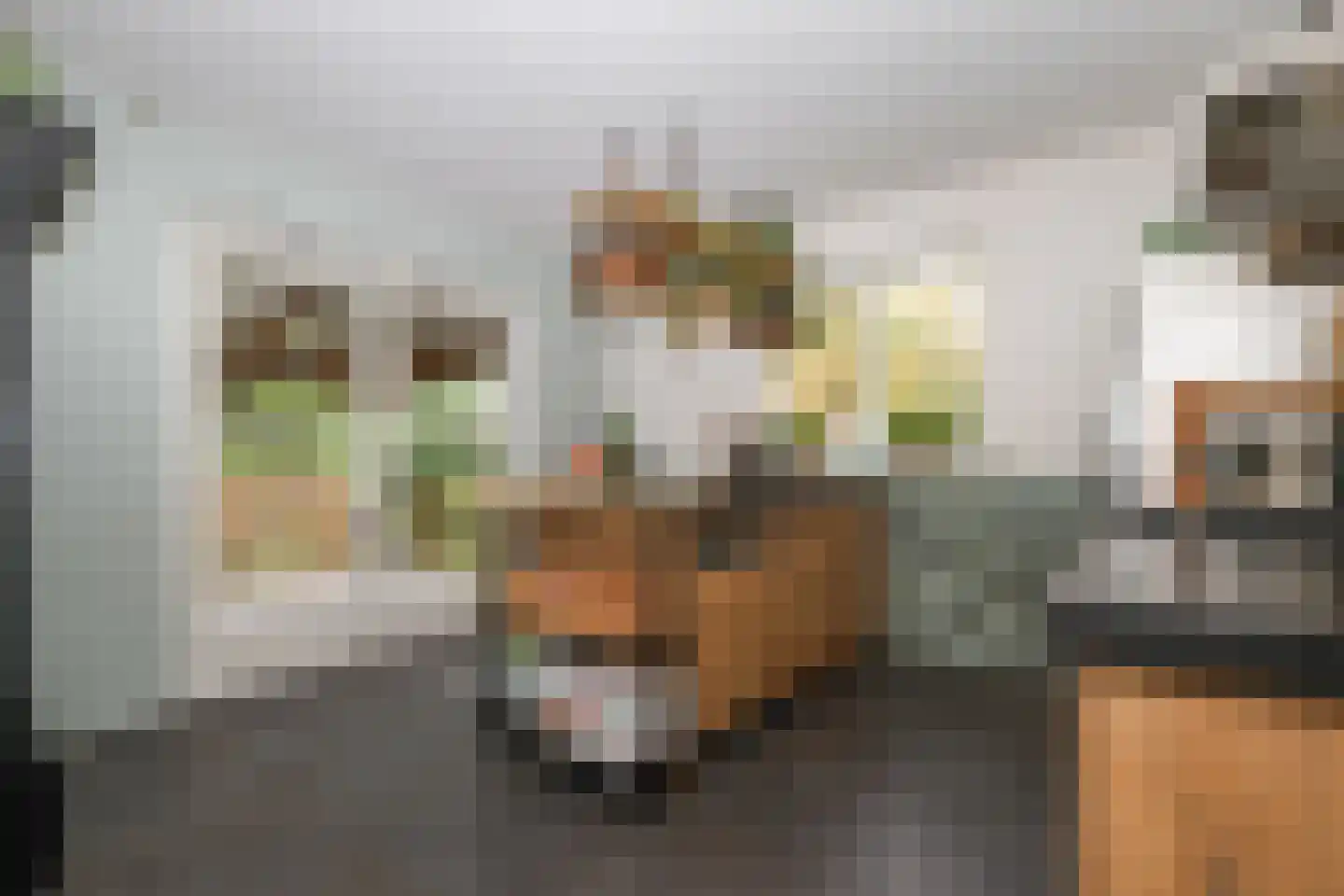 Katerwaalsedijk 7 Abbenbroek thumbnail 19