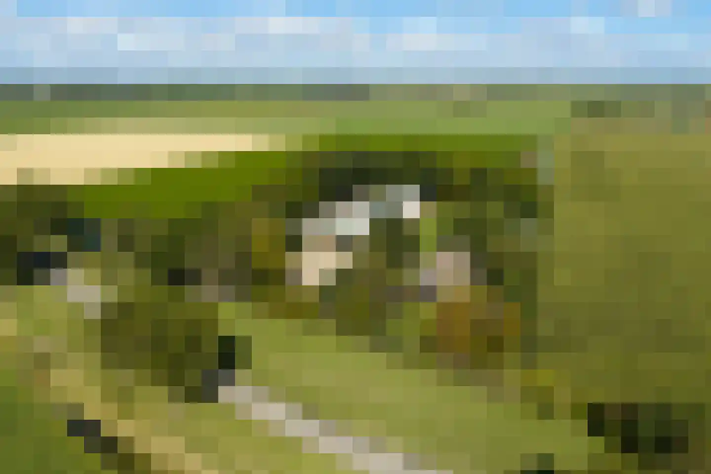 Katerwaalsedijk 7 Abbenbroek foto 2