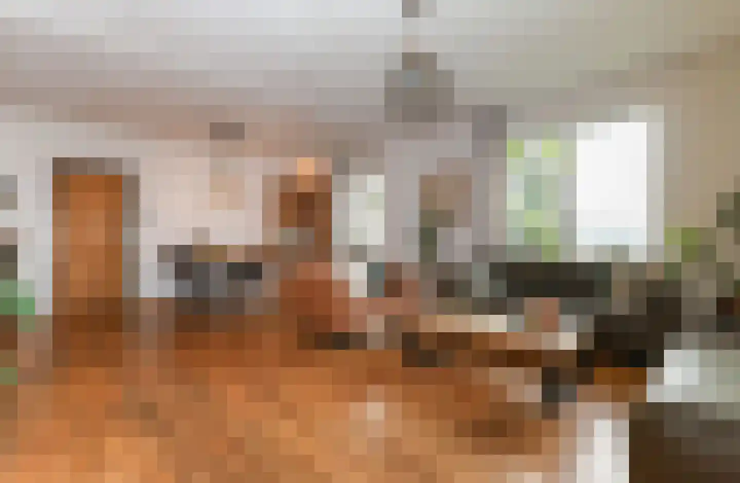 Katerwaalsedijk 7 Abbenbroek thumbnail 23