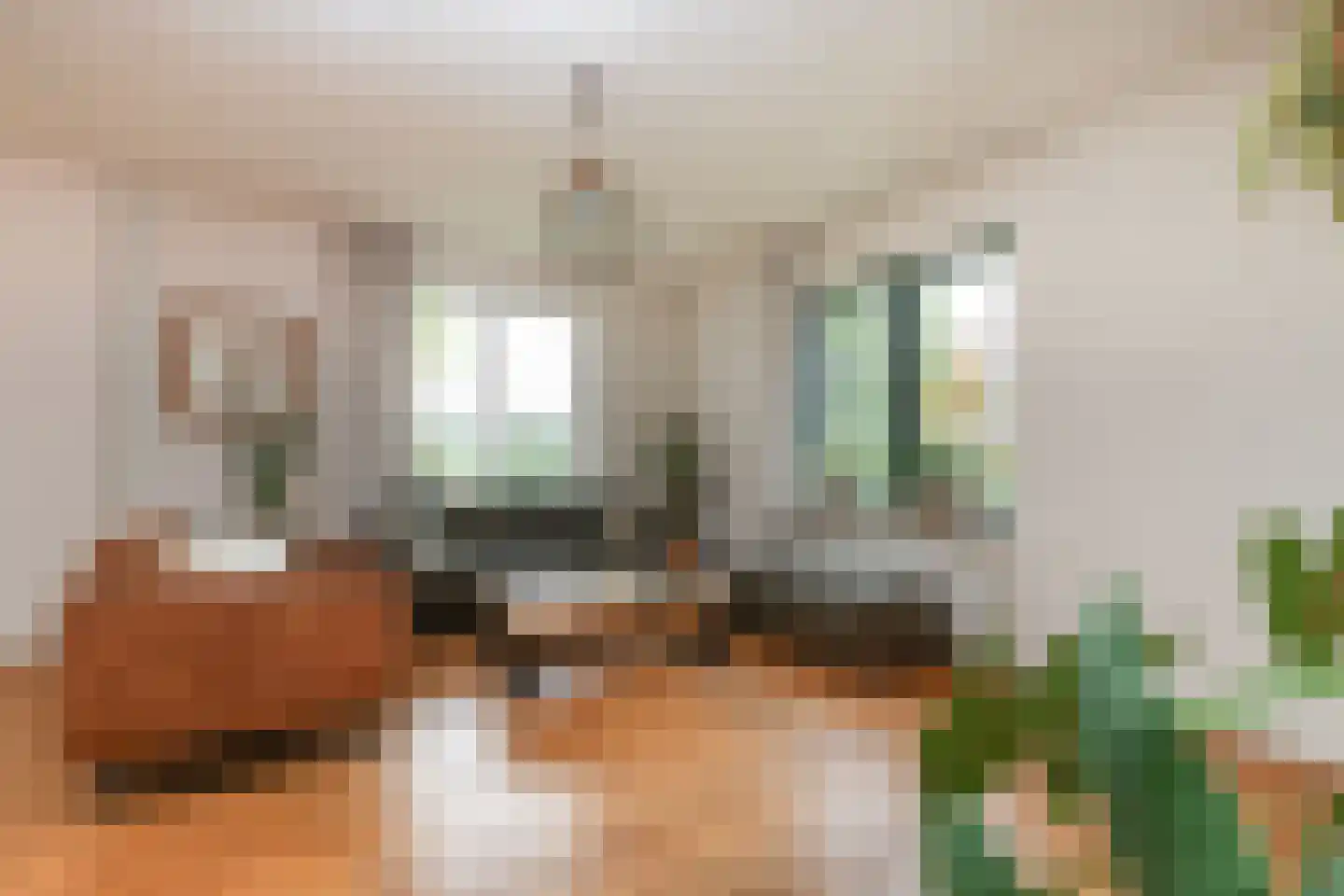 Katerwaalsedijk 7 Abbenbroek thumbnail 24