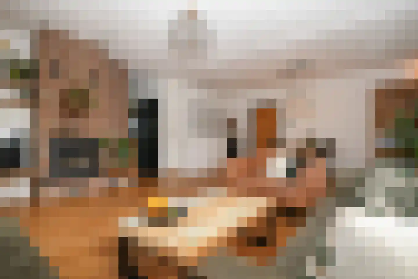 Katerwaalsedijk 7 Abbenbroek thumbnail 26
