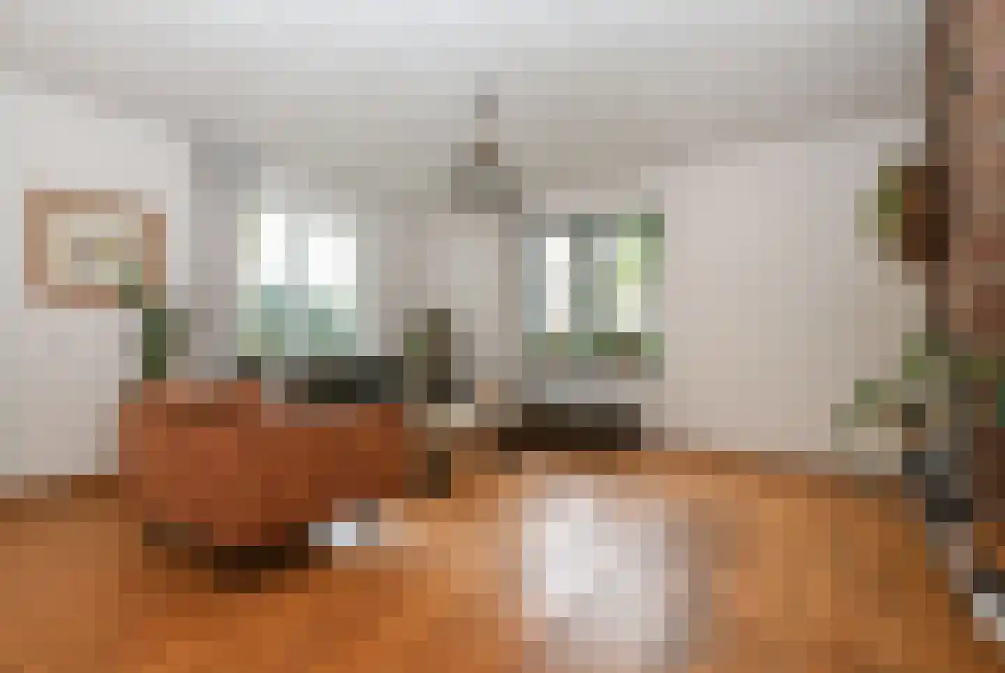 Katerwaalsedijk 7 Abbenbroek thumbnail 27