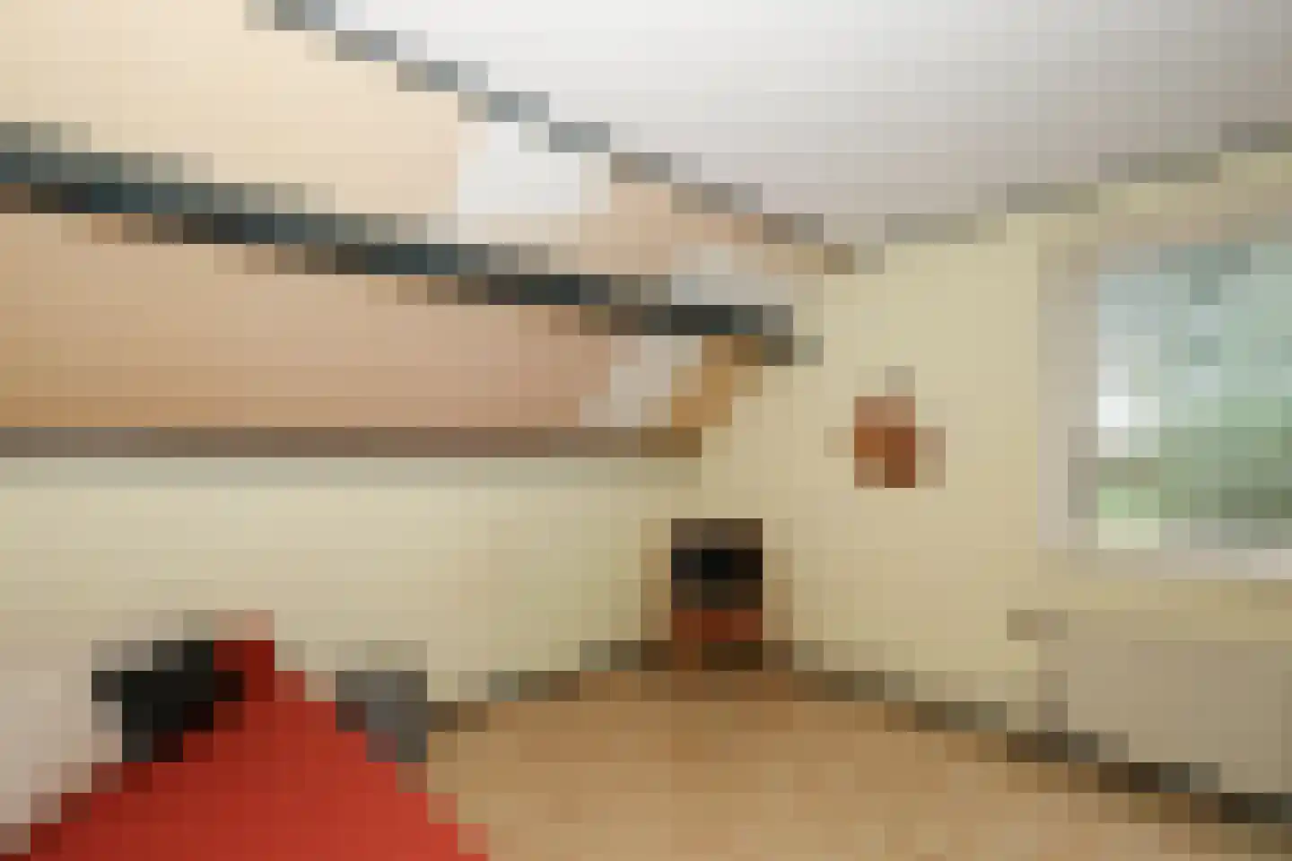 Katerwaalsedijk 7 Abbenbroek thumbnail 37