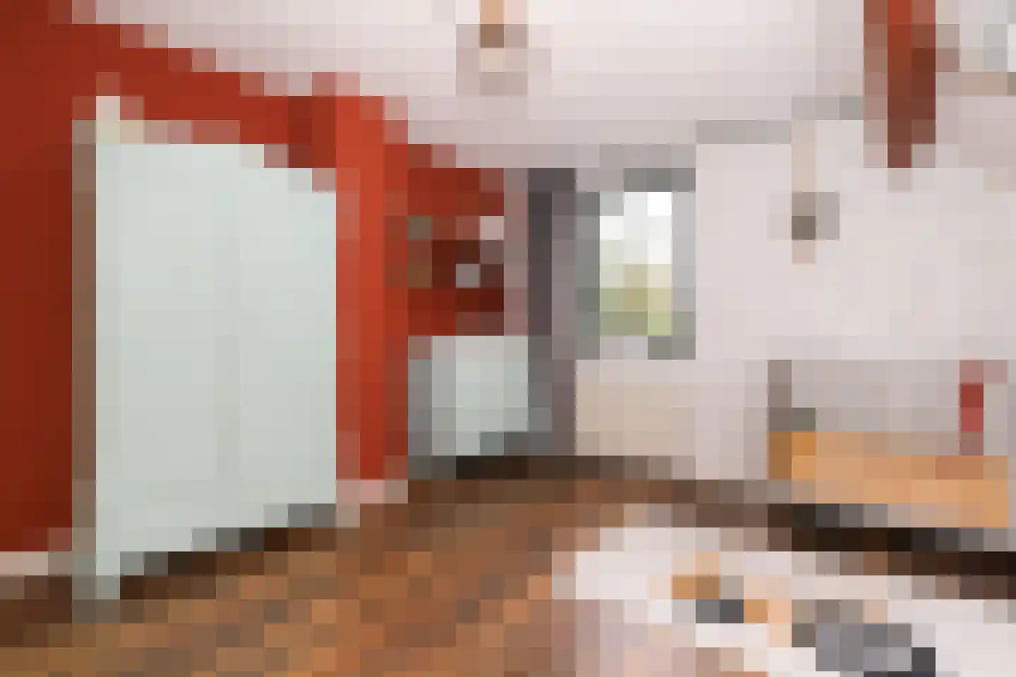 Katerwaalsedijk 7 Abbenbroek thumbnail 41