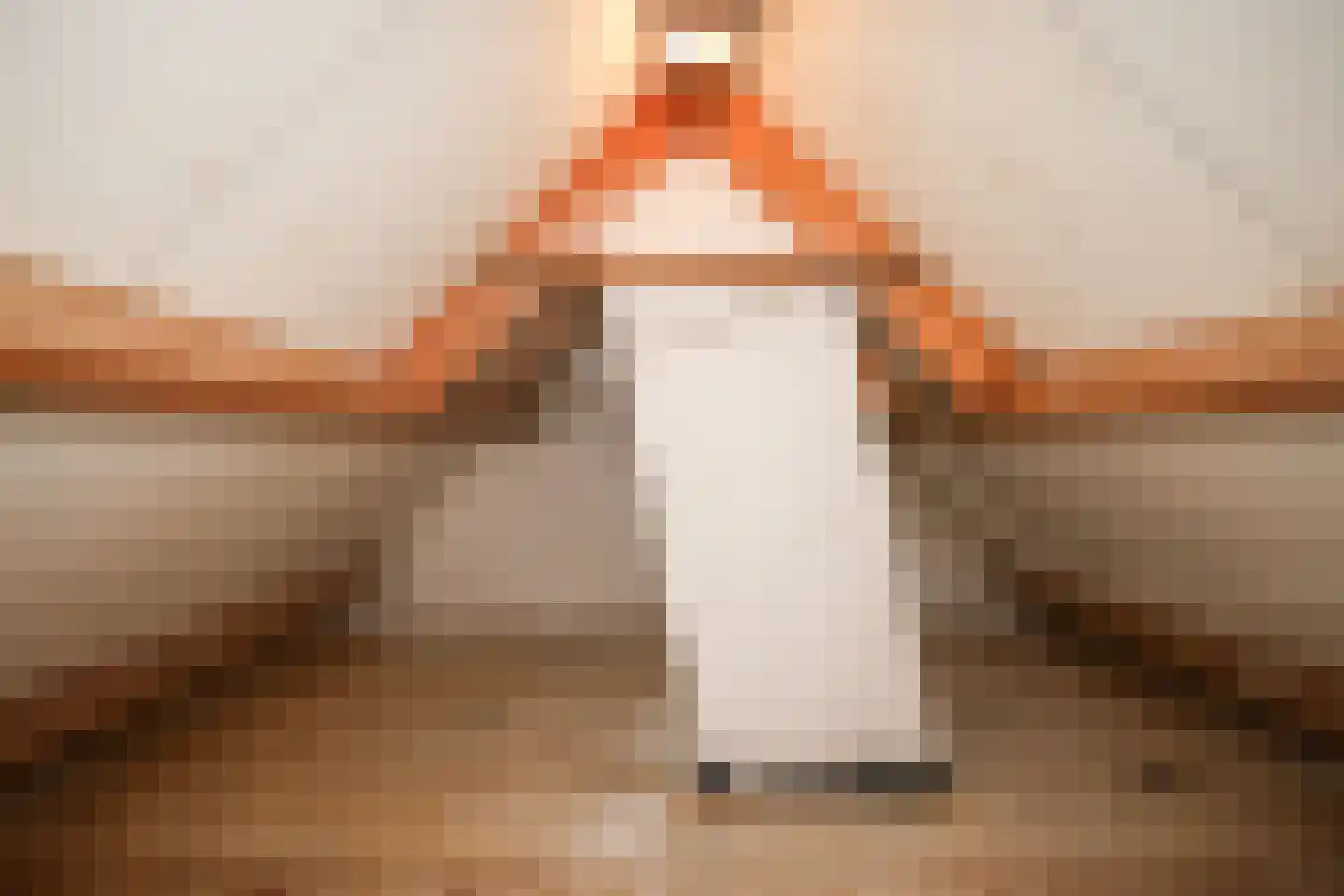 Katerwaalsedijk 7 Abbenbroek thumbnail 47