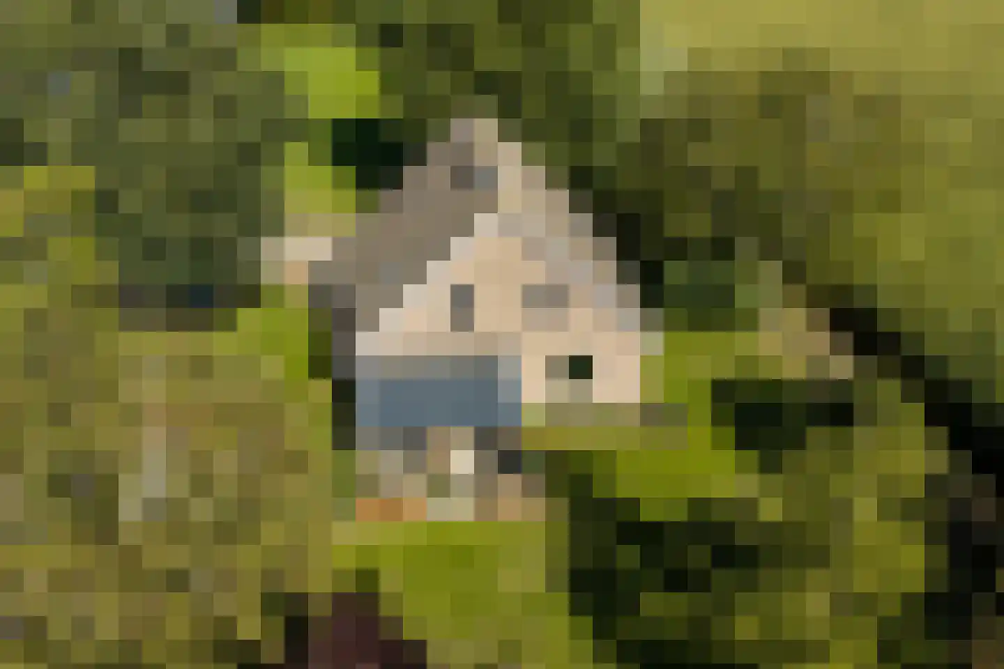 Katerwaalsedijk 7 Abbenbroek thumbnail 50