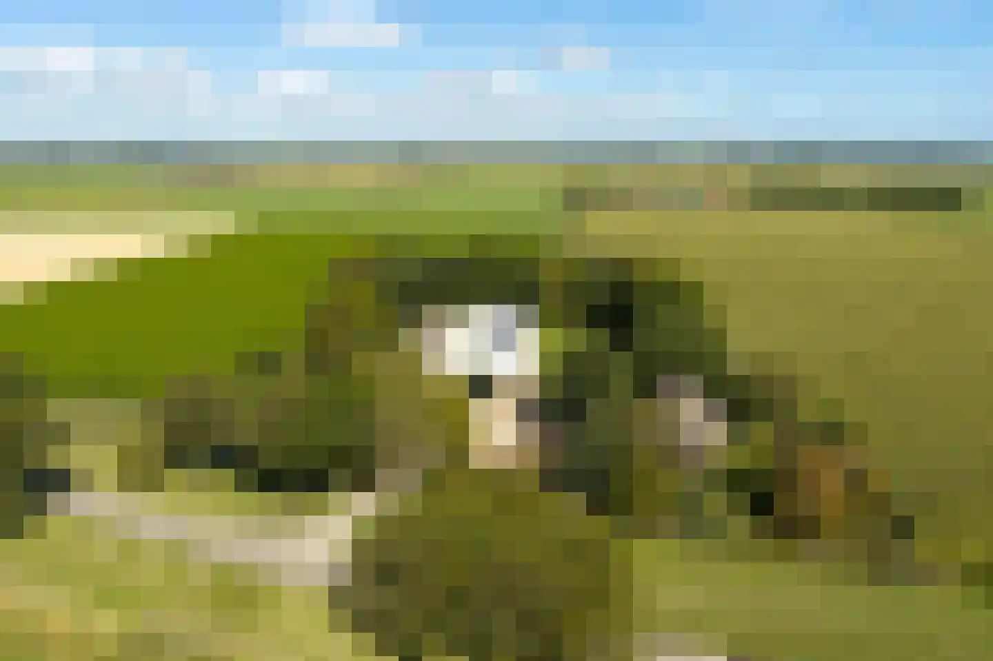 Katerwaalsedijk 7 Abbenbroek thumbnail 51