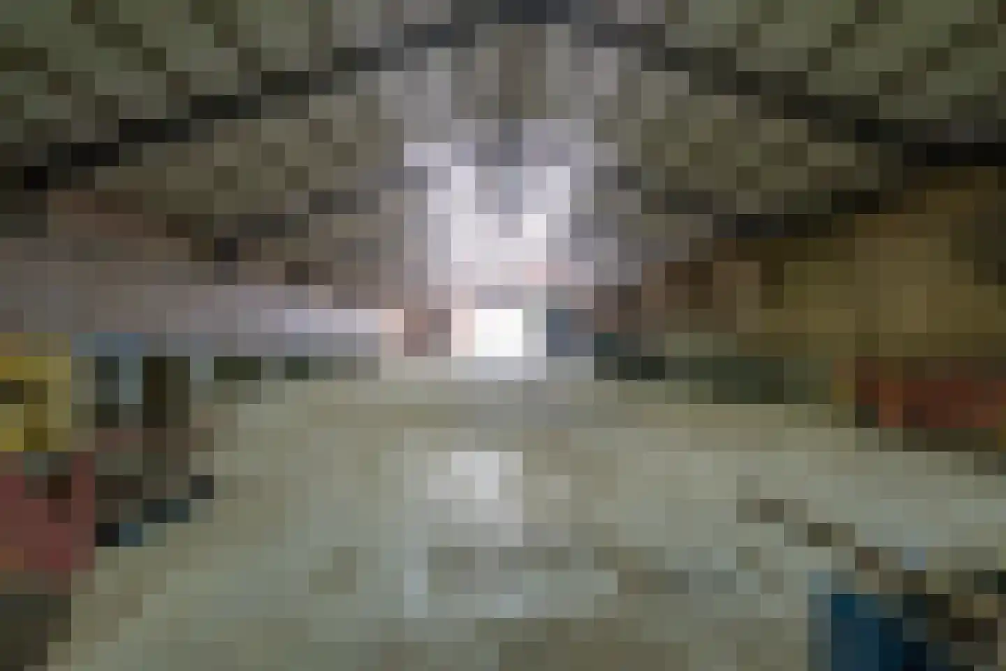 Katerwaalsedijk 7 Abbenbroek thumbnail 62