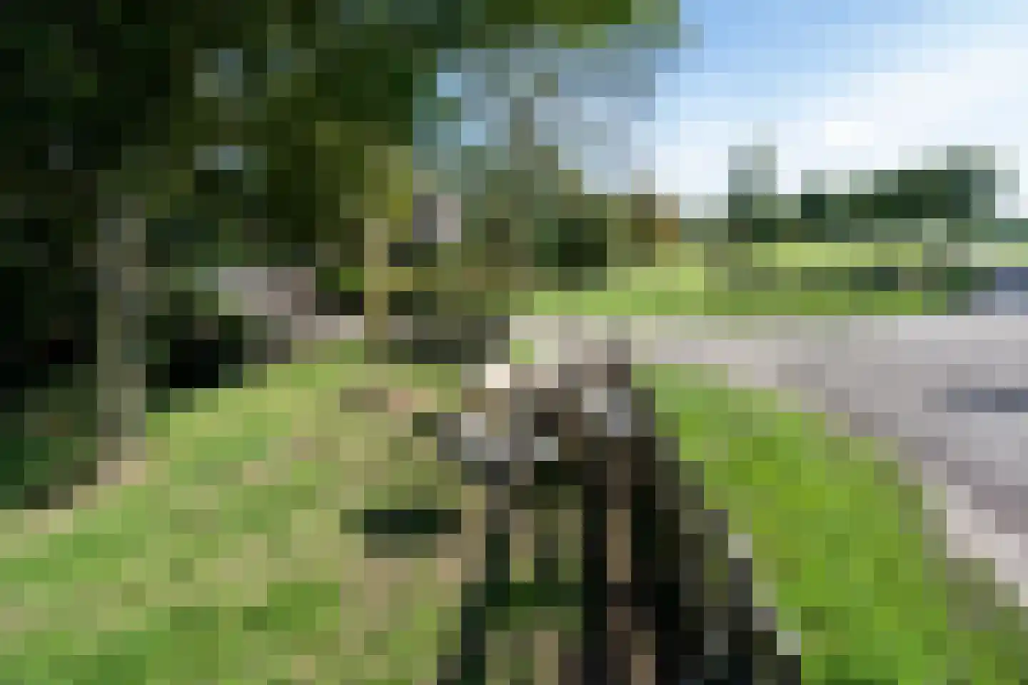 Katerwaalsedijk 7 Abbenbroek thumbnail 8