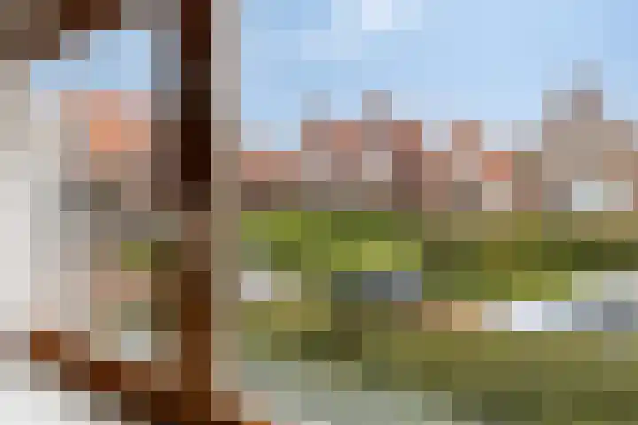 Kathammerstraat 54 Volendam thumbnail 22