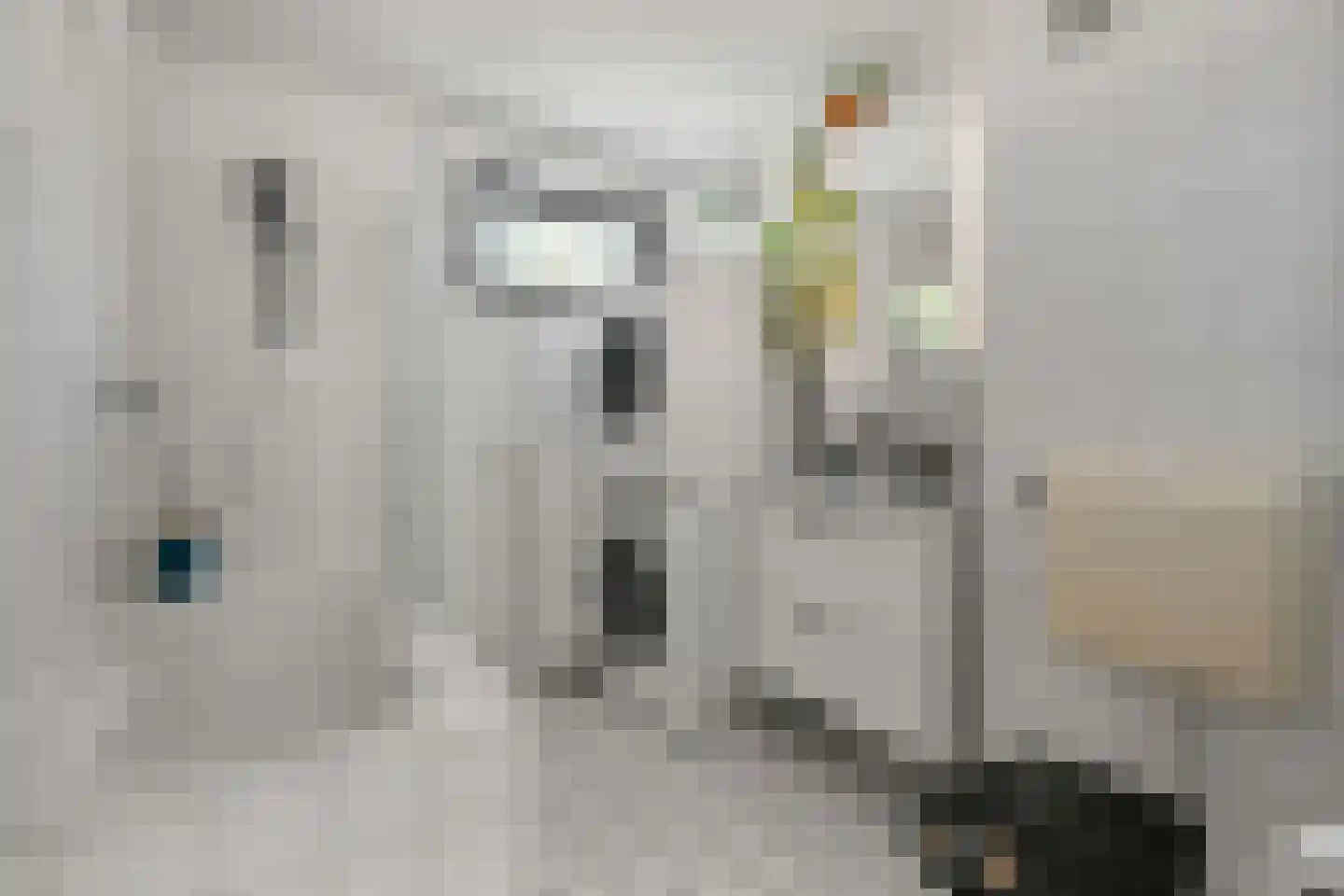 Katherijn van Leemputdreef 38 Utrecht thumbnail 12