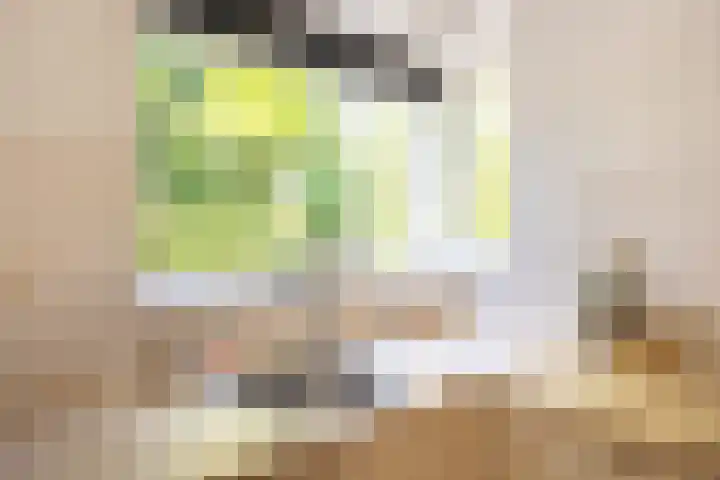 Katherijn van Leemputdreef 66 Utrecht thumbnail 14