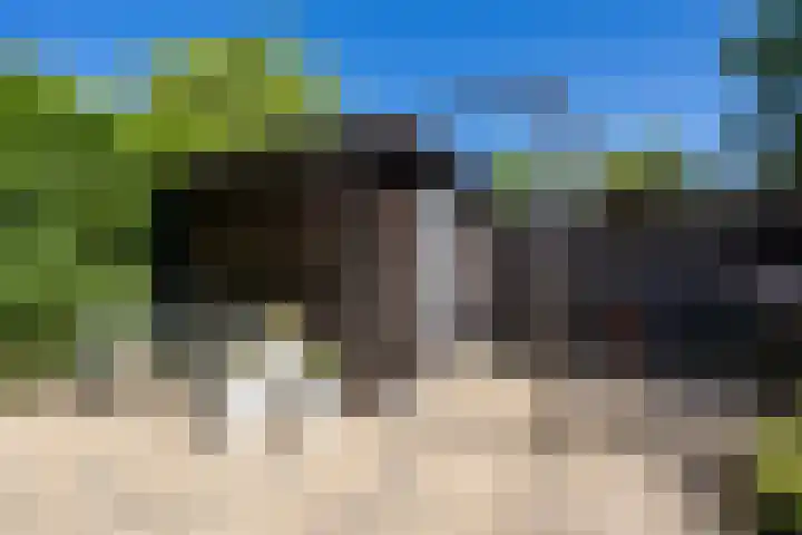 Katherijn van Leemputdreef 66 Utrecht thumbnail 21