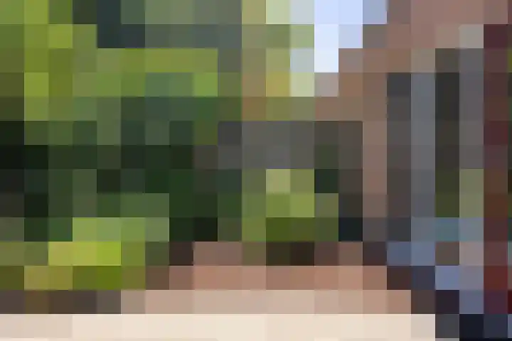 Katherijn van Leemputdreef 66 Utrecht thumbnail 23
