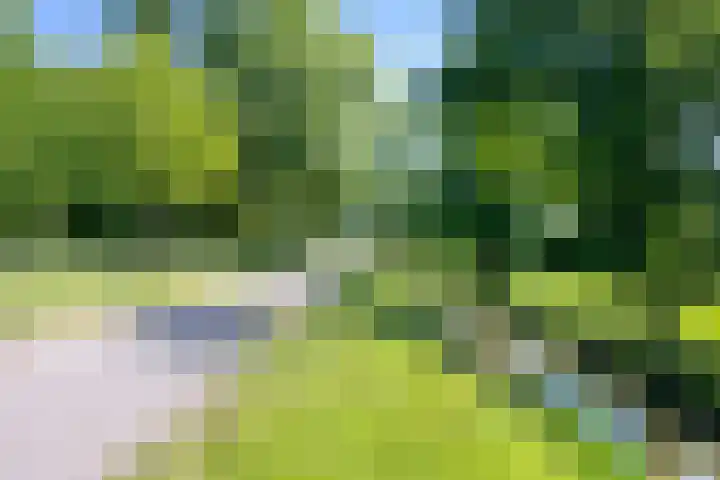 Katherijn van Leemputdreef 66 Utrecht thumbnail 31