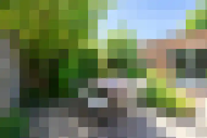 Katherijn van Leemputdreef 66 Utrecht thumbnail 4