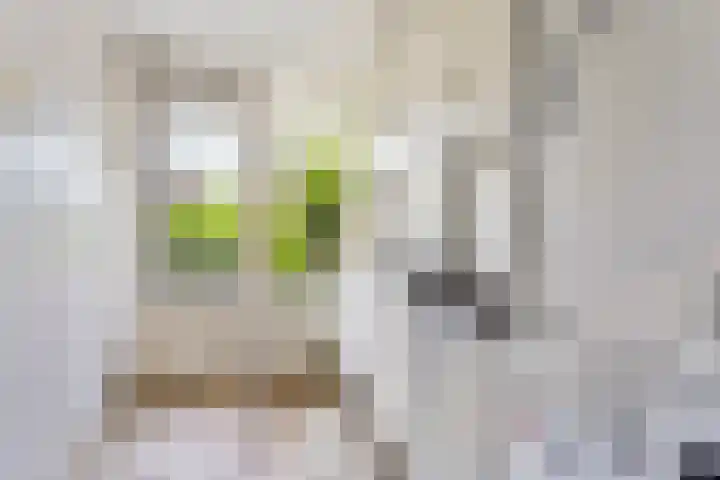 Kathleen Ferrierlaan 13 Amstelveen thumbnail 31