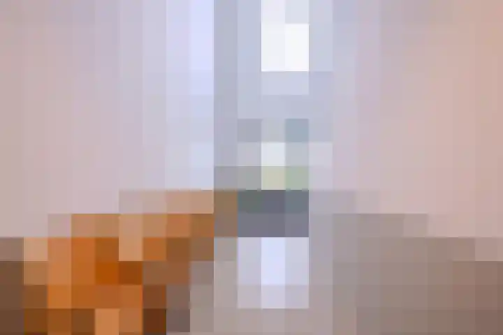 Kathodelaan 14 Eindhoven thumbnail 5