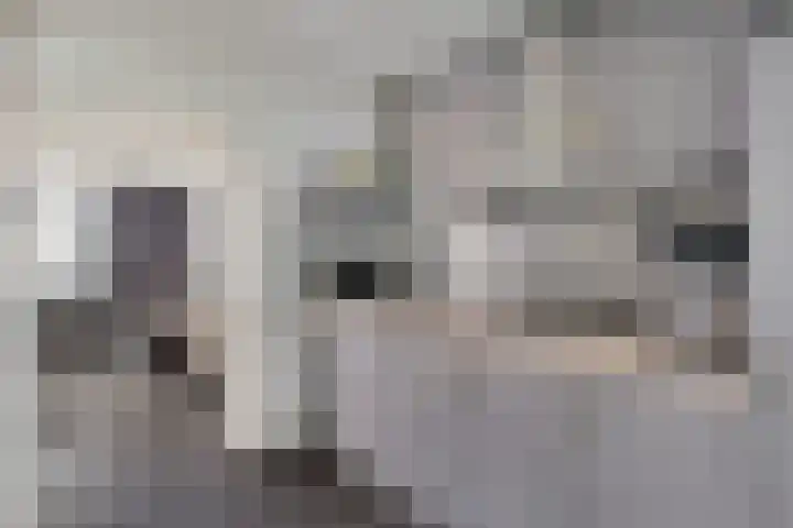 Kathoek 1 Blokzijl thumbnail 15