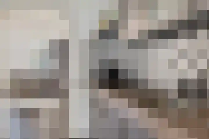 Kathoek 1 Blokzijl thumbnail 16