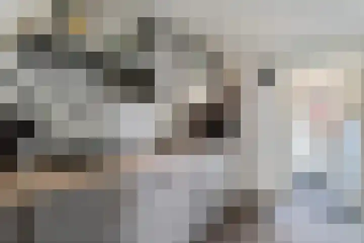 Kathoek 1 Blokzijl thumbnail 17