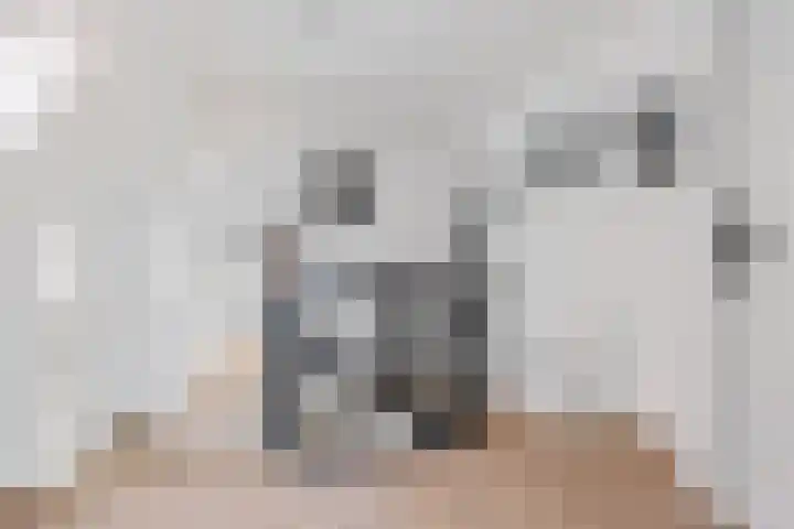 Kathoek 1 Blokzijl thumbnail 30
