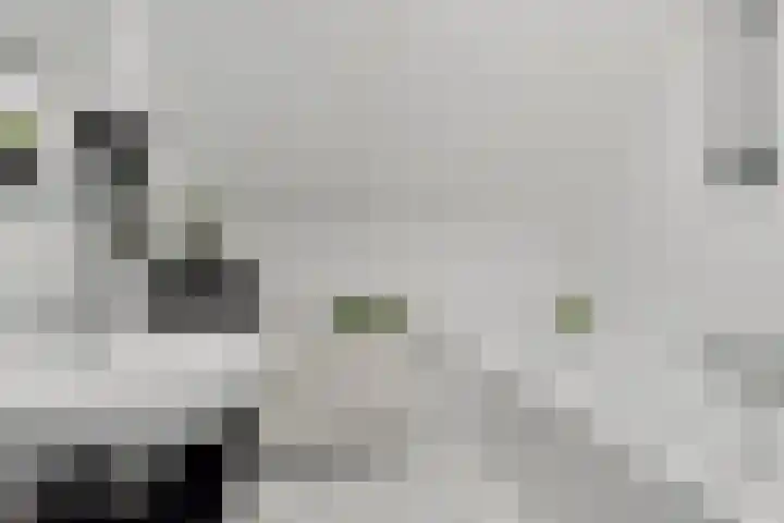 Kathoek 1 Blokzijl thumbnail 37