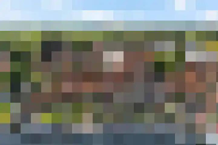 Kathoek 1 Blokzijl thumbnail 8