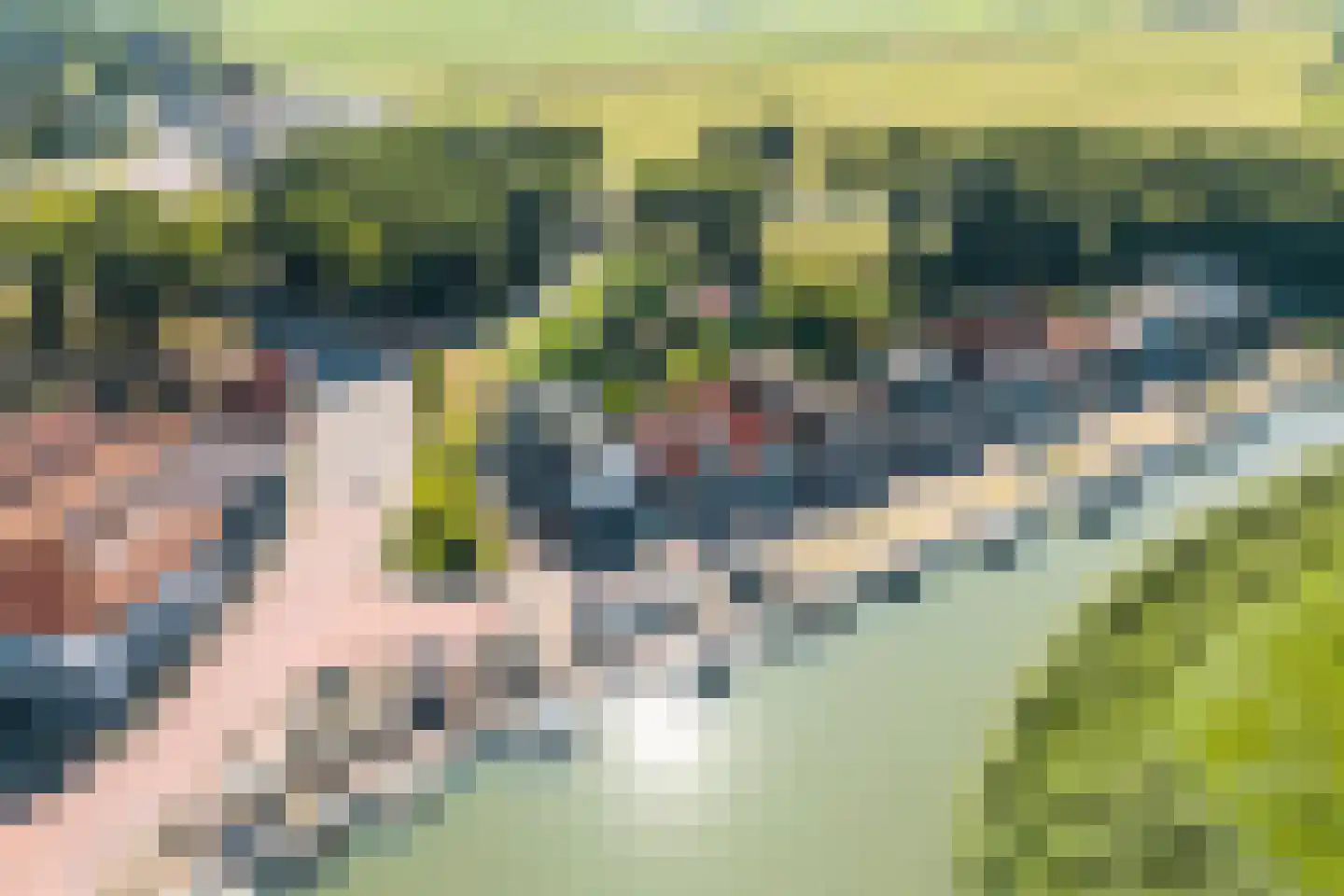 Kathoek 2 Avenhorn thumbnail 31